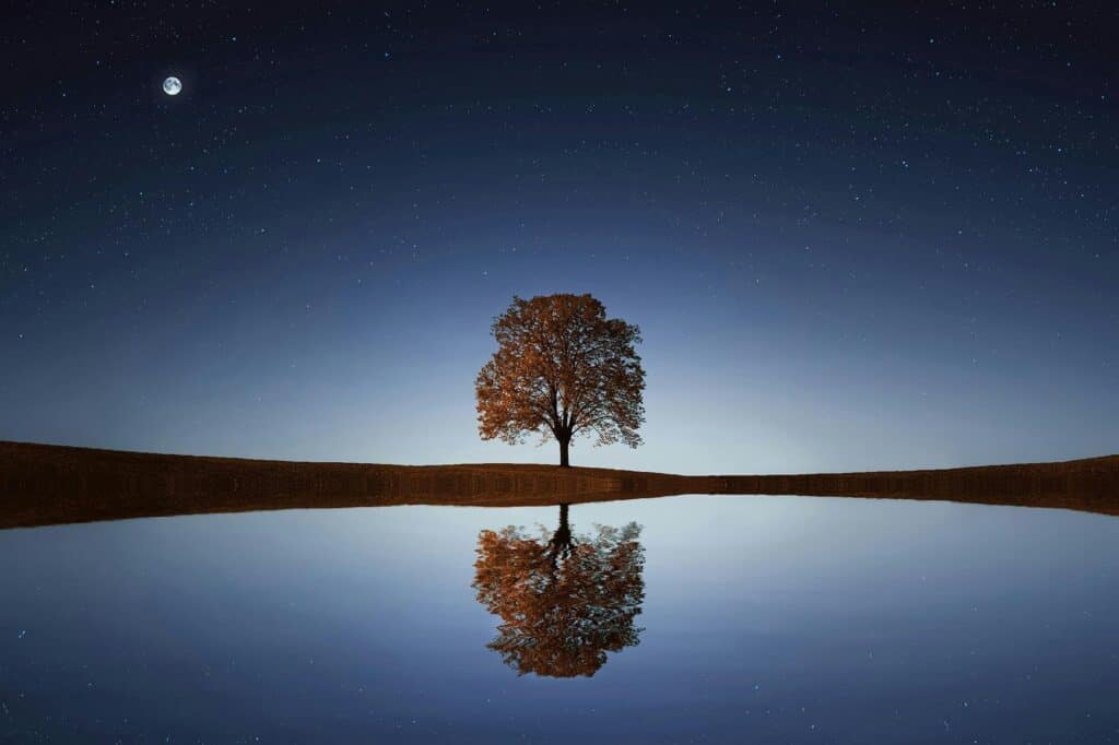 Instant captivant : arbre solitaire reflété dans les eaux calmes d'un lac par une nuit de pleine lune