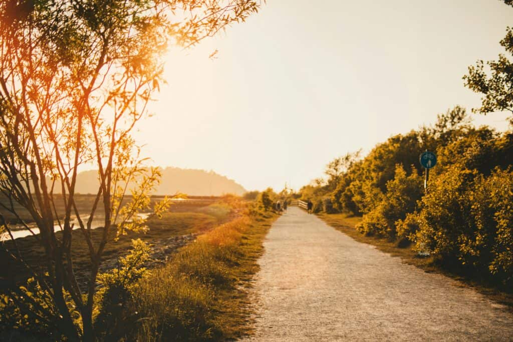 Transformation et renouveau : créer un environnement sain sous un coucher de soleil