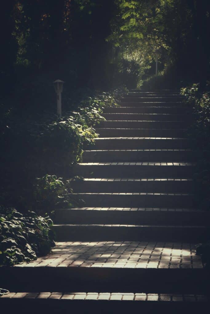 Transformation inspirée : escalier qui monte de l'ombre à la lumière, évoquant la renaissance après des leçons du passé